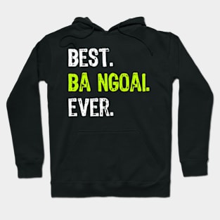 Best Ba Ngoai Ever Vietse Grandma Hoodie